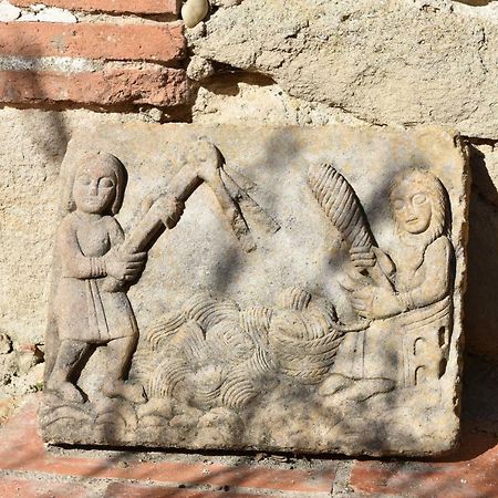 Puylaurens Les Treillettes 빌라 외부 사진
