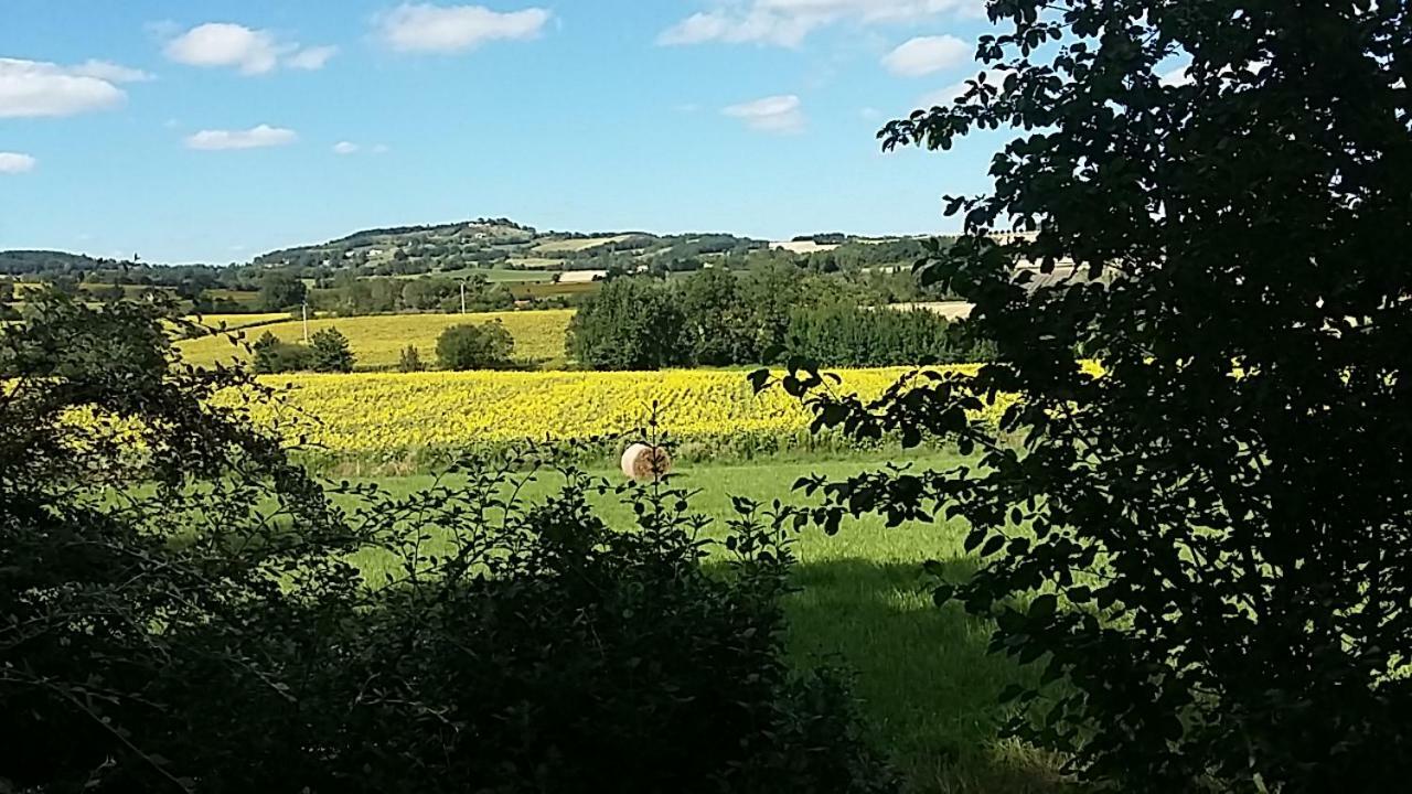 Puylaurens Les Treillettes 빌라 외부 사진
