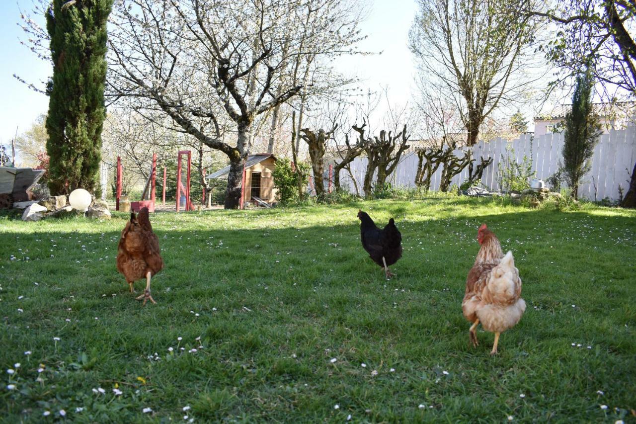 Puylaurens Les Treillettes 빌라 외부 사진